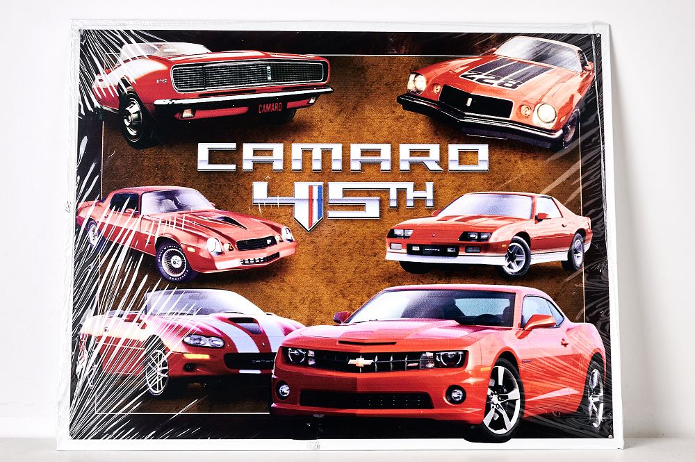 Camaro 45th Anniversary